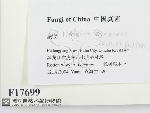 登錄號:F0017699藏品圖，第2張