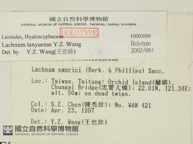 登錄號:F0005699藏品圖，第2張
