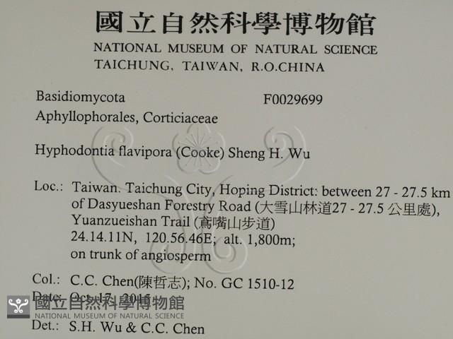 登錄號:F0029699藏品圖，第2張