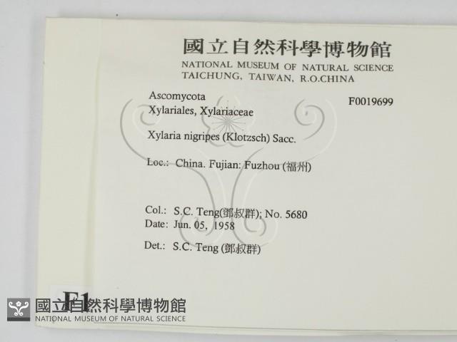 登錄號:F0019699藏品圖，第2張