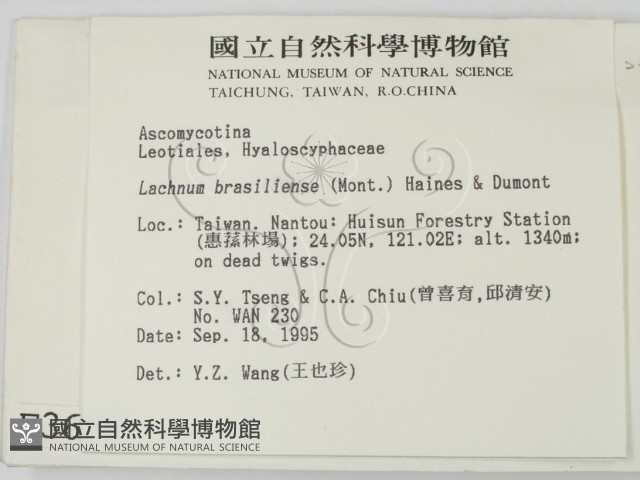 登錄號:F0003699藏品圖，第2張
