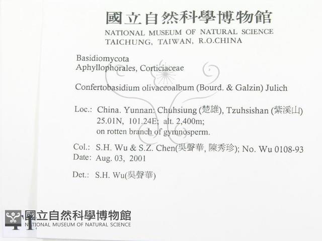 登錄號:F0013699藏品圖，第2張