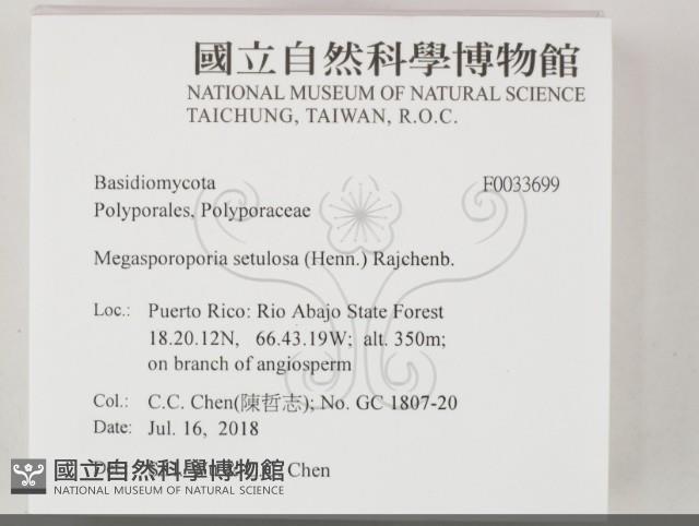 登錄號:F0033699藏品圖，第2張