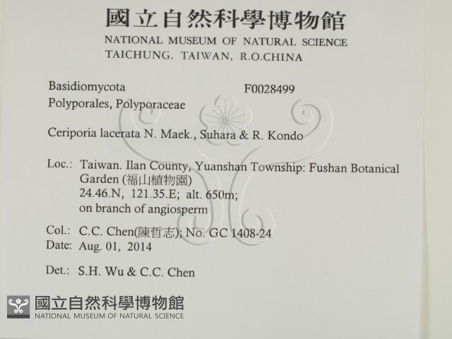 登錄號:F0028499藏品圖，第2張