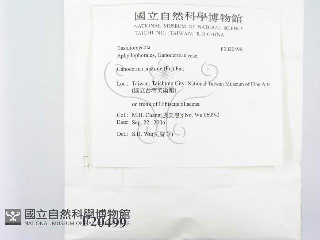 登錄號:F0020499藏品圖，第2張