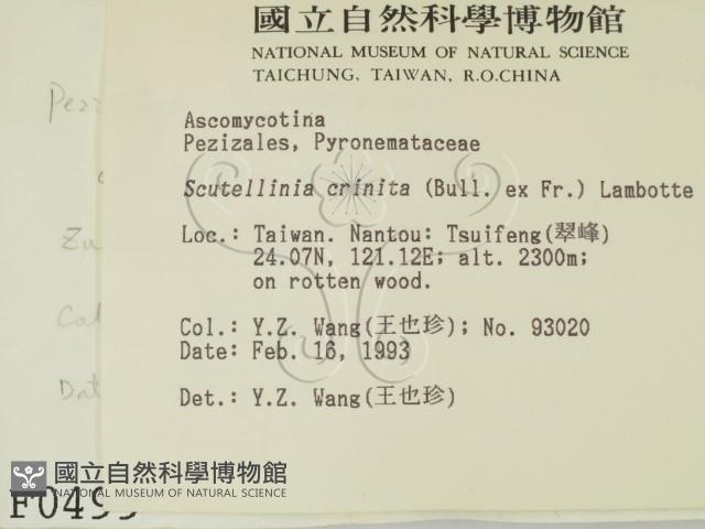 登錄號:F0000499藏品圖，第2張