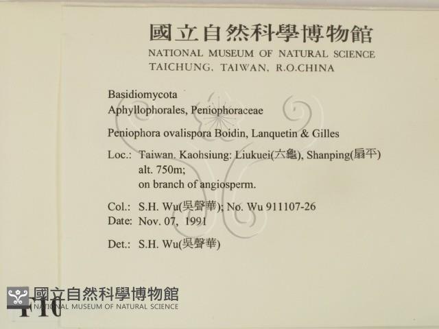 登錄號:F0010499藏品圖，第2張