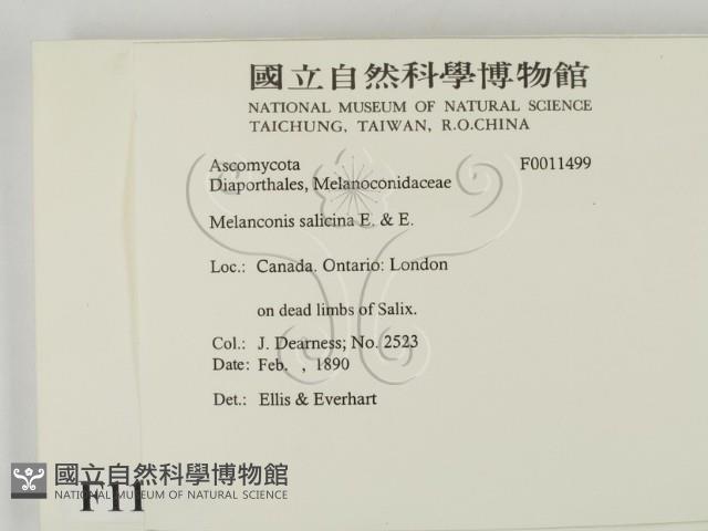 登錄號:F0011499藏品圖，第2張