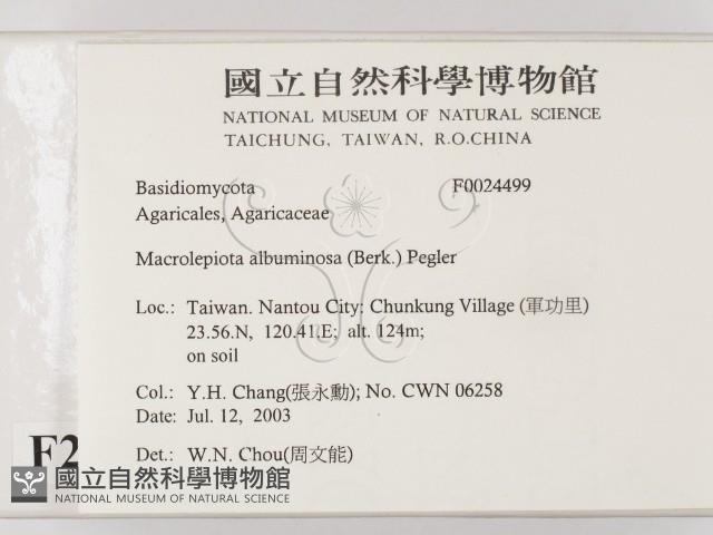 登錄號:F0024499藏品圖，第2張
