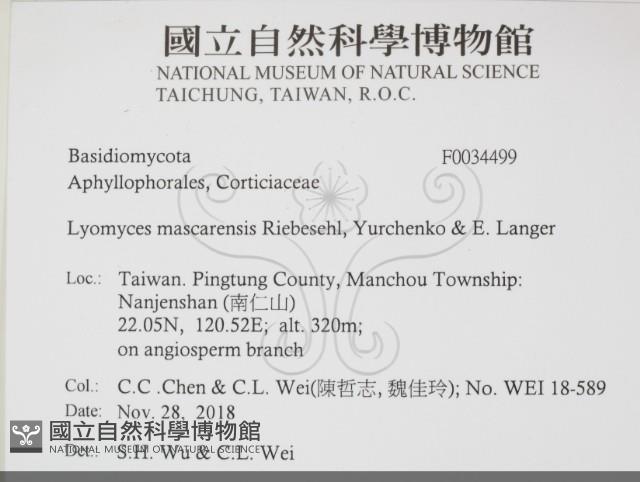 登錄號:F0034499藏品圖，第2張