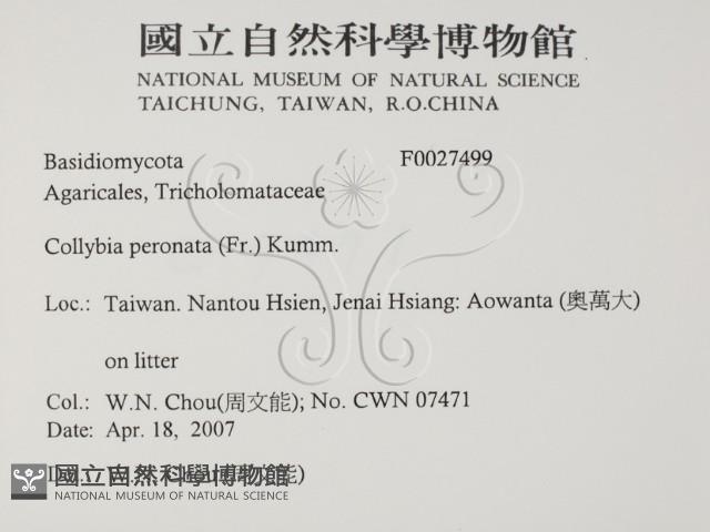 登錄號:F0027499藏品圖，第2張