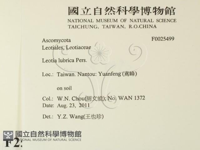 登錄號:F0025499藏品圖，第2張