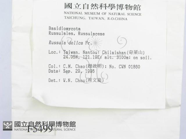 登錄號:F0005499藏品圖，第2張