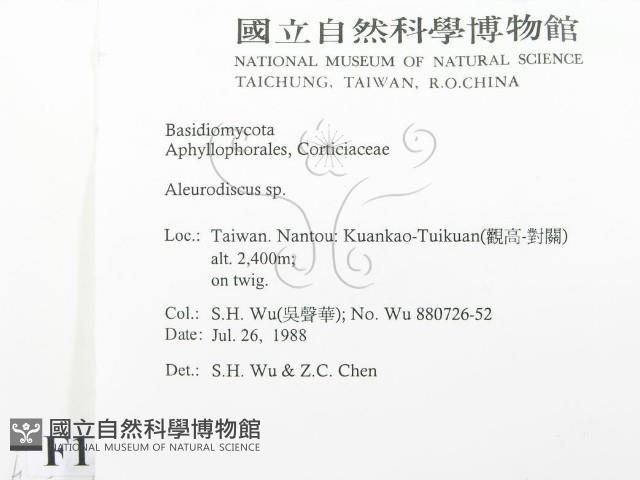 盤革菌屬藏品圖，第2張