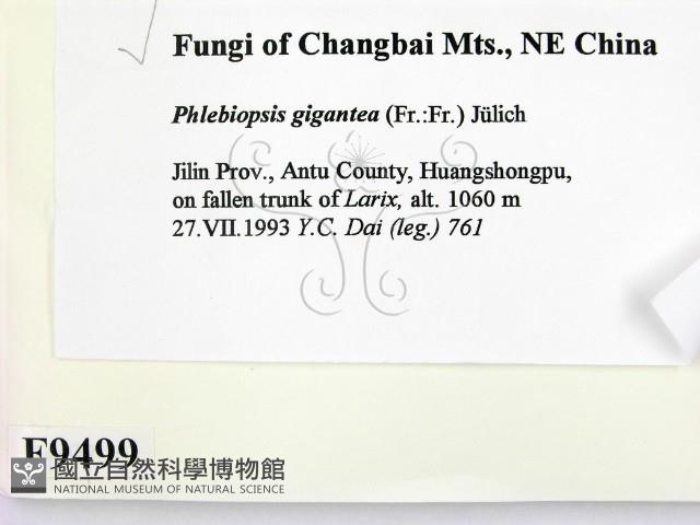 登錄號:F0009499藏品圖，第2張