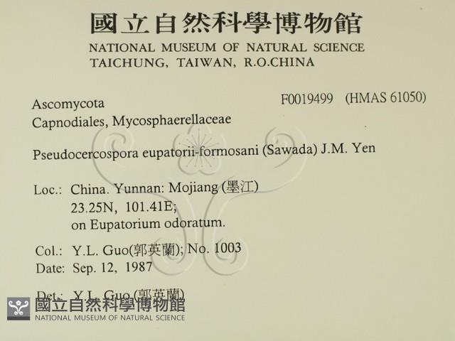 登錄號:F0019499藏品圖，第2張