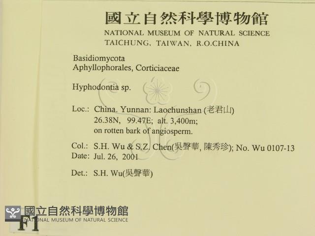 登錄號:F0013499藏品圖，第2張