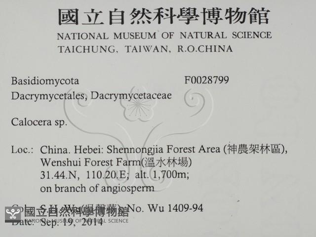 登錄號:F0028799藏品圖，第2張