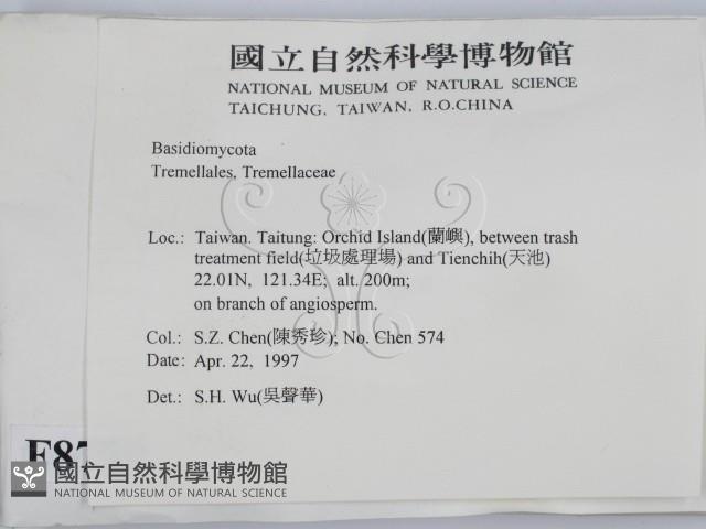 登錄號:F0008799藏品圖，第2張