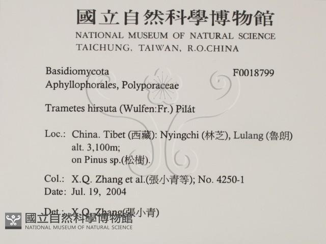 登錄號:F0018799藏品圖，第2張