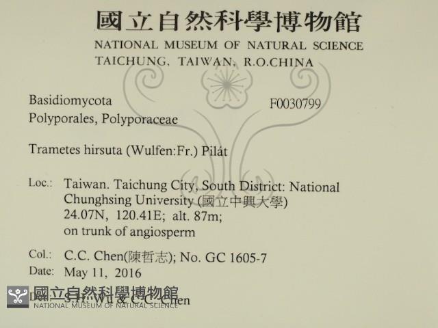 登錄號:F0030799藏品圖，第2張