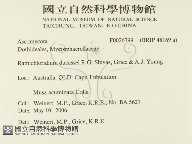 登錄號:F0026799藏品圖，第2張