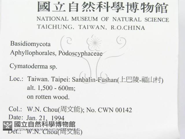 波邊革菌屬藏品圖，第2張