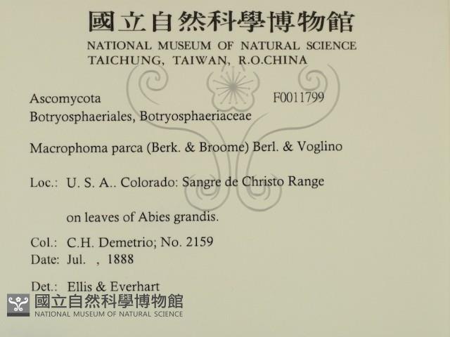 登錄號:F0011799藏品圖，第2張