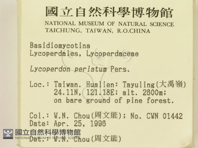 登錄號:F0004799藏品圖，第2張