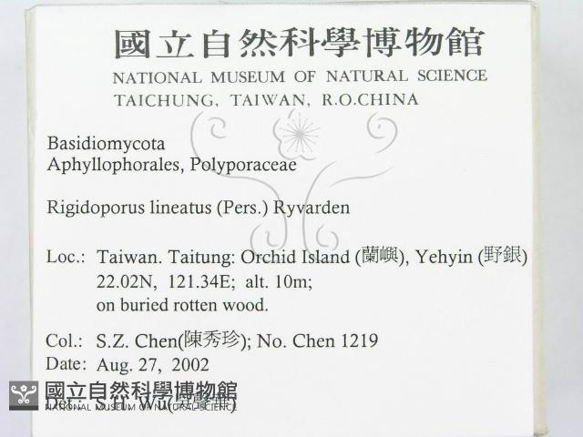 登錄號:F0014799藏品圖，第2張