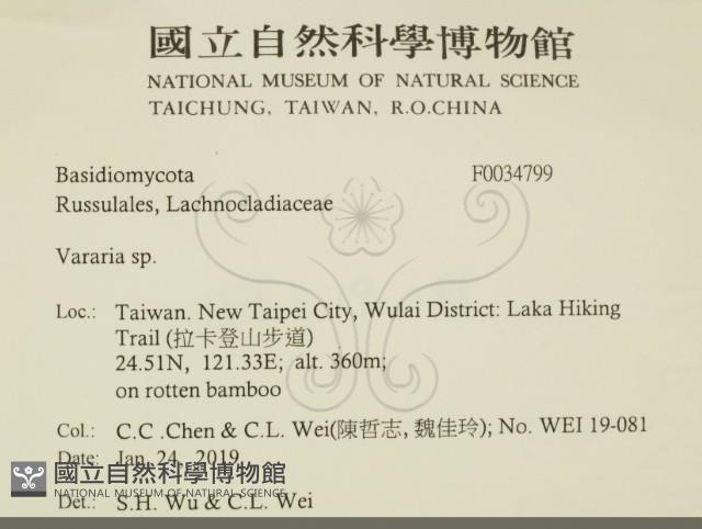 登錄號:F0034799藏品圖，第2張