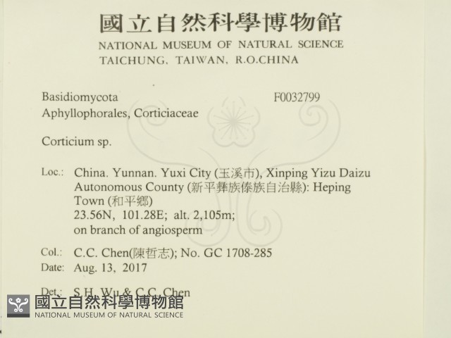 登錄號:F0032799藏品圖，第2張