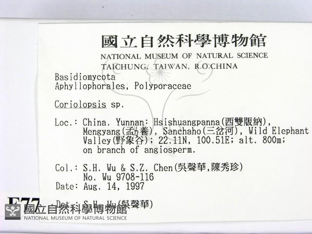 登錄號:F0007799藏品圖，第2張