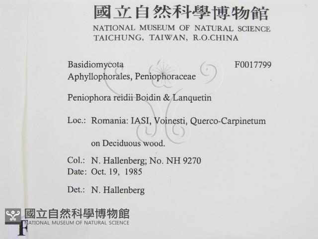 登錄號:F0017799藏品圖，第2張