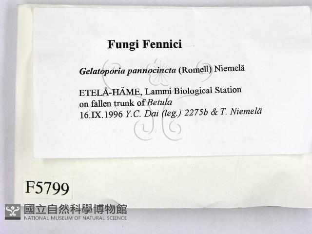 登錄號:F0005799藏品圖，第2張