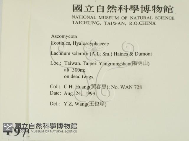 登錄號:F0009799藏品圖，第2張