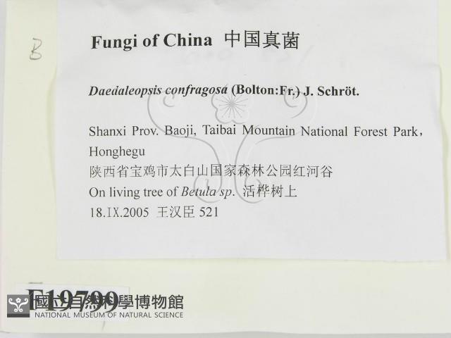 登錄號:F0019799藏品圖，第2張
