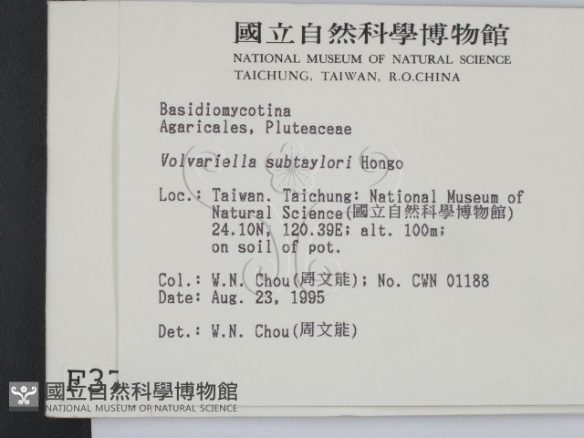 登錄號:F0003799藏品圖，第2張