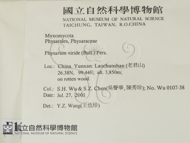 登錄號:F0013799藏品圖，第2張