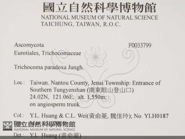 登錄號:F0033799藏品圖，第2張