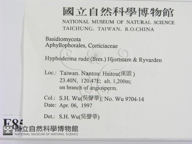 登錄號:F0008599藏品圖，第2張