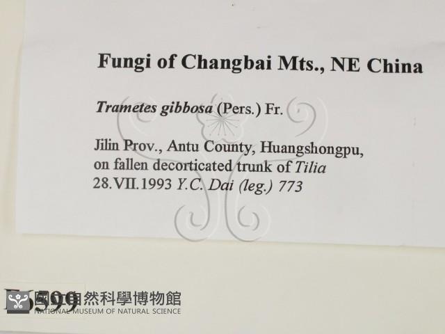 Accession Number:F0006599 Collection Image, Figure 2, Total 3 Figures