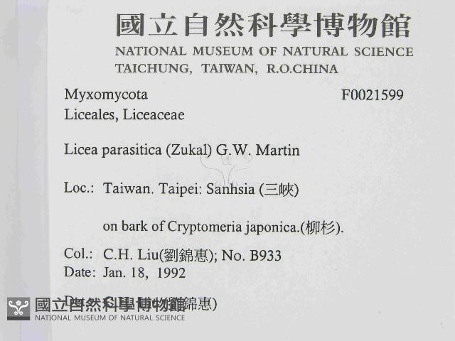 登錄號:F0021599藏品圖，第2張