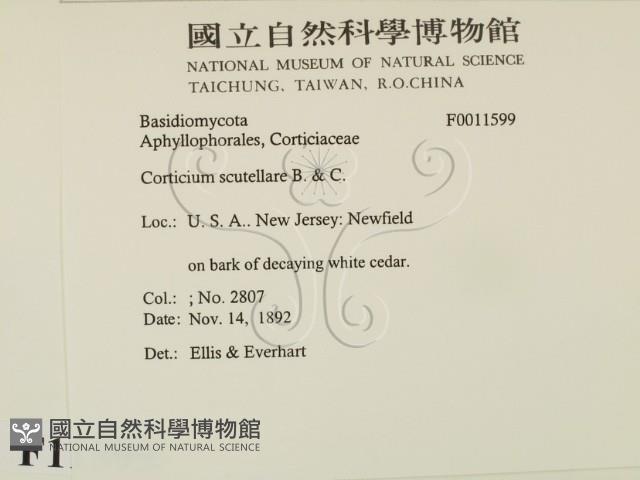 登錄號:F0011599藏品圖，第2張