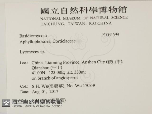 登錄號:F0031599藏品圖，第2張