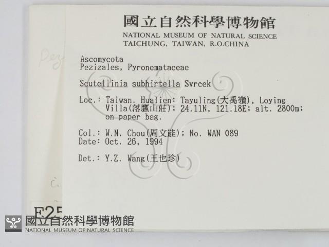 登錄號:F0002599藏品圖，第2張