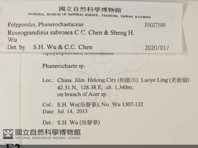 登錄號:F0027599藏品圖，第2張