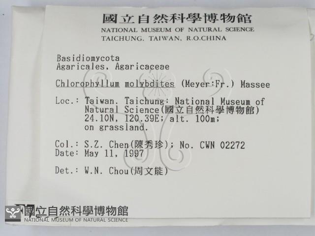 登錄號:F0007599藏品圖，第2張