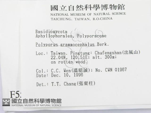 登錄號:F0005599藏品圖，第2張