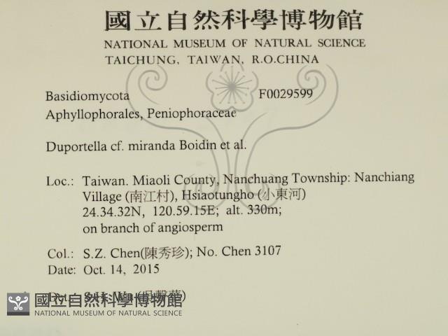 登錄號:F0029599藏品圖，第2張